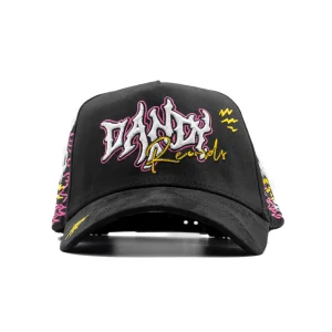 gorra dandy hats records vista del panel frontal